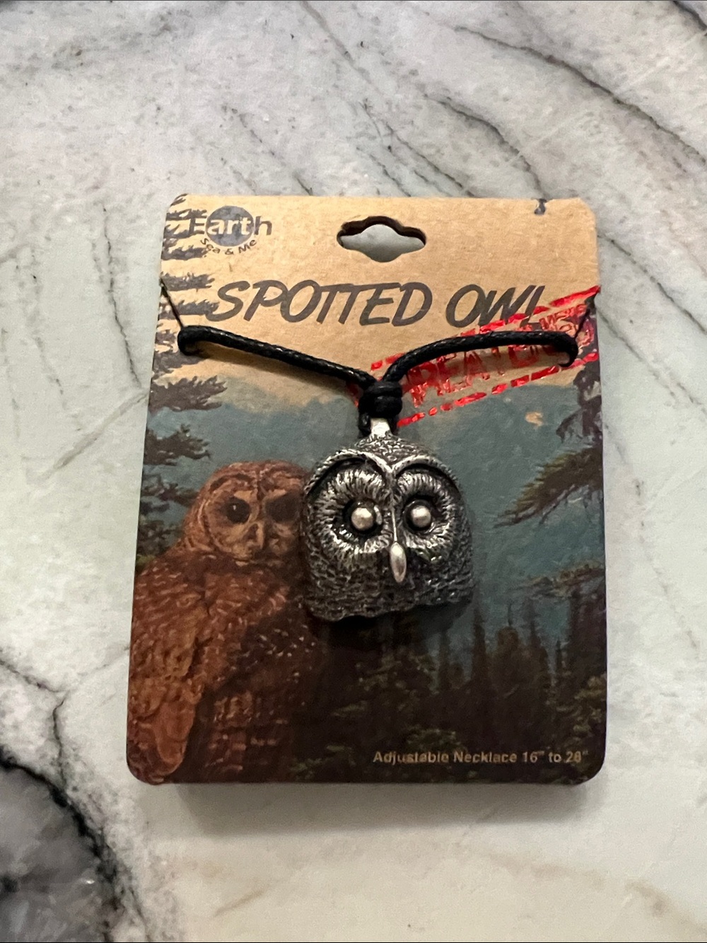 Earth Silver Owl Pendant Necklace on Black Cord